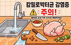 캄필로박터균 감염증(식중독)